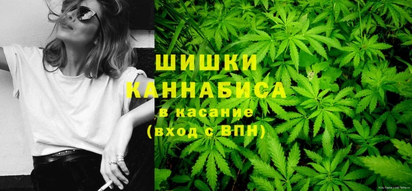 гашик Михайловка