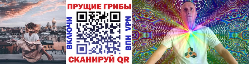 Галлюциногенные грибы MAGIC MUSHROOMS  мориарти клад  Барнаул 