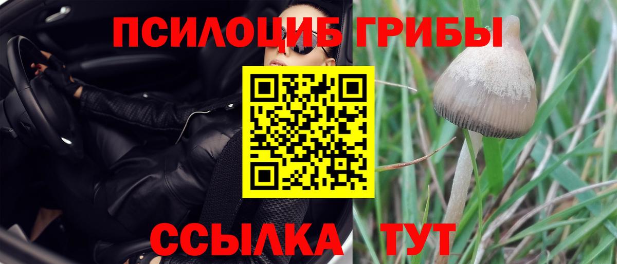 Галлюциногенные грибы Magic Shrooms  Барнаул 